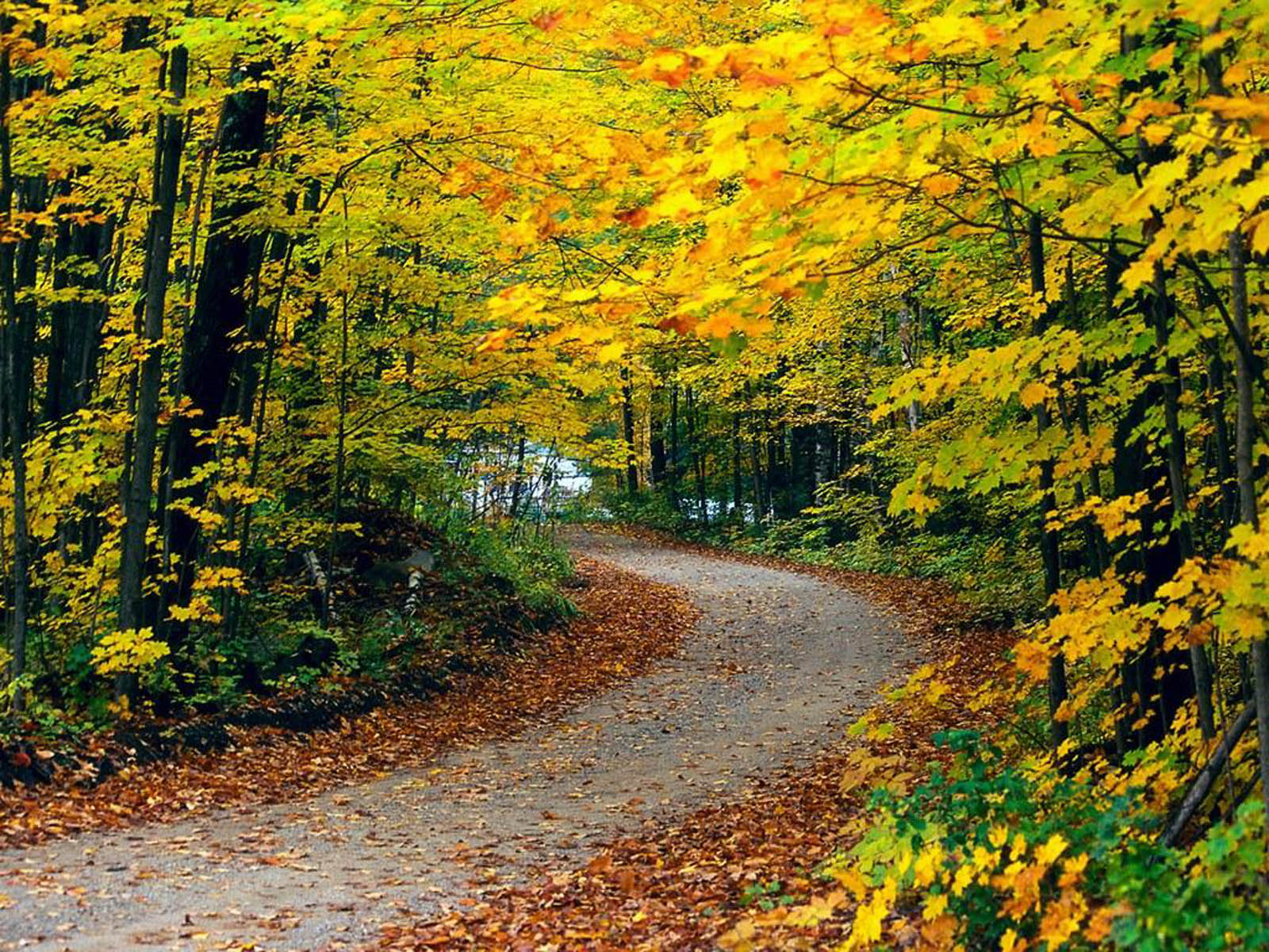 Scenery wallpaper